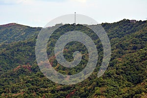Mountain view with trees and leaves during daytime