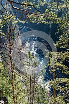 Mountain view through the trees on the whole frame