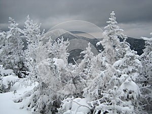 Mountain view in winter, with trees