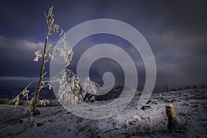 Mountain views of winter landscape