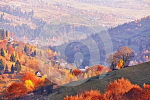 Mountain village, autumn rural scene. Yellow and orange trees. Sunny fall evening. Beautiful sunset hills landscape. Slopes,