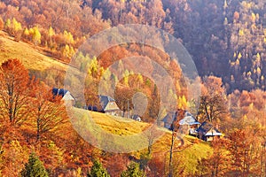Mountain village, autumn rural scene. Yellow and orange trees. Sunny fall evening. Beautiful sunset hills landscape. Slopes,