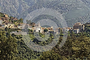 Mountain village of Belgodere in the Nebbio region, Corsica, France, photo