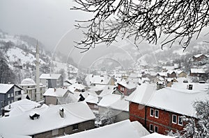 Mountain village in winter