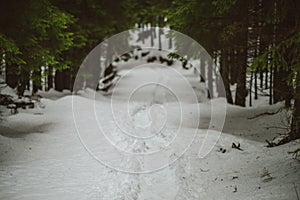 Mountain Walkpath, winter scene