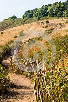 Mountain Walkway to Kew Mae Pan