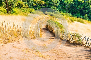 Mountain Walkway to Kew Mae Pan