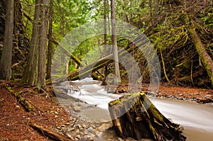 Mountain water stream