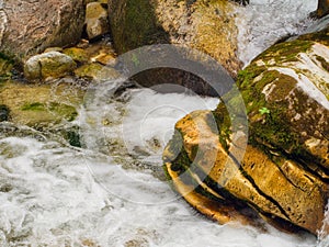 Mountain water stream in Bansko