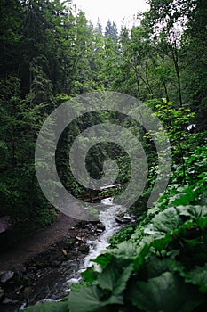 Mountain waterall and river in the forst moody green atmosphere