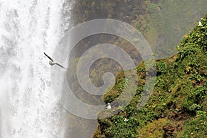 Mountain Waterfall