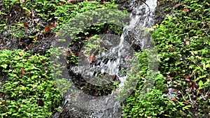 Mountain waterfall in bavaria, slow moution