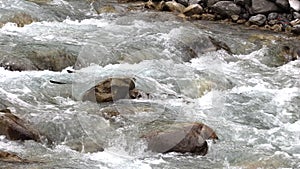 Mountain waterfall in bavaria, slow moution