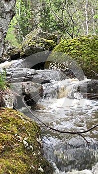 Mountain waterfall in a birch forest among boulders covered with moss. Fast mountain river. A large waterfall over a