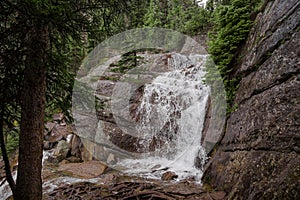 A mountain waterfall of coniferous forest and the slopes of the Rocky Mountains. Tourism concept, eco recreation, Alberta, Canada