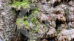 Mountain waterfall, creek, river, stream, - flowing running water background, Water splashes over stones in sunlight, drops of wat