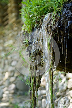 Mountain waterfall in the forest, a large noisy stream of water