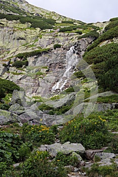 Mountain waterfall in High Tatras Skok. Tall rocks covered with scrub