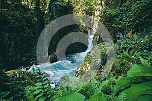 Mountain Waterfall River with deep forest Landscape