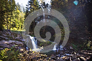 Mountain waterfall in the rocky canyon surrounded be green forest, cool and fresh nature summer landscape. Carpathians