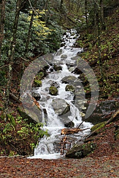 Mountain waterfall rushing down after a fall rain.