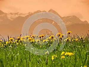 Mountain wendelstein (39)