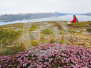 Mountain with wild flowers