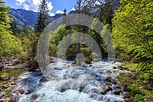 Mountain wild river landscape. River valley in mountains. Wild mountain river panorama. Small waterfall in forest stream. Long