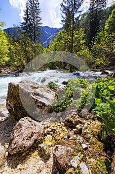 Mountain wild river landscape. River valley in mountains. Wild mountain river panorama. Small waterfall in forest stream. Long