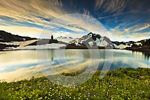 Mountain and Wildflowers