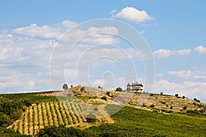 Mountain Winery Landscape