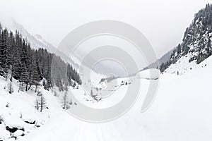 Mountain winter landscape