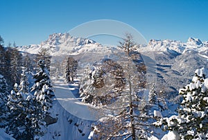 Mountain Winter Landscape with Snow and Trees in Cortina d Ampezzo