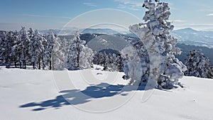 Mountain Winter snow scene on Divcibare, Serbia