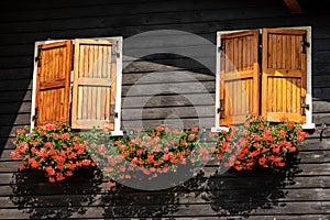 Mountain wooden chalet with windows and red geraniums - Italy