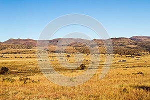Mountain Zebra National Park, South Africa:  a general view of the scenery giving an idea of the topography and veld type photo