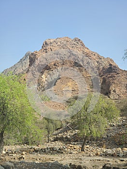 Mountainand ghaf trees in Muscat, Oman