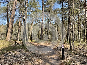 Mountainbike path and sign through the forest of hoge veluwe