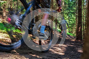 Mountainbikers rides in forest