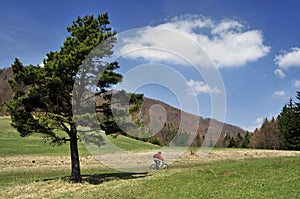 Horská cyklistika