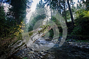 Mountaine river landscape