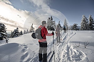 Mountaineer backcountry ski waling in the mountains. Ski touring in high alpine landscape with snowy trees. Adventure winter extre