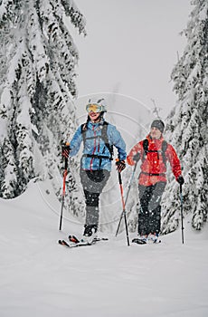 Mountaineer backcountry ski waling two ski alpinist in the mountains. Ski touring in alpine landscape with snowy trees. Adventure