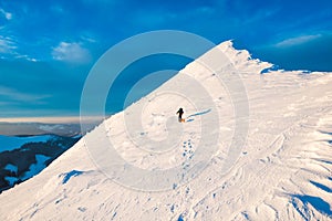 Mountaineer with dog climbing on mountain top