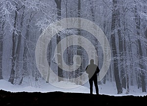 Mountaineer in a forest with snowfall.