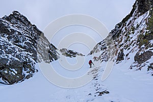 Mountaineer reaches the top of a snowy mountain in a sunny winter day. tatras mountain
