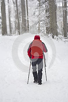 Mountaineer in the snow forest