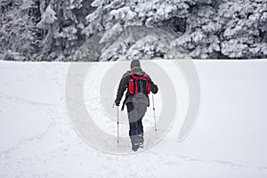 Mountaineer in the snow forest