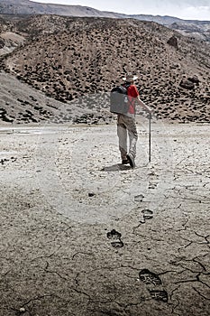 Mountaineer trekker walking in Himalayas