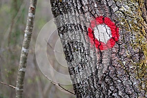 A mountaineering mark drawn on a tree